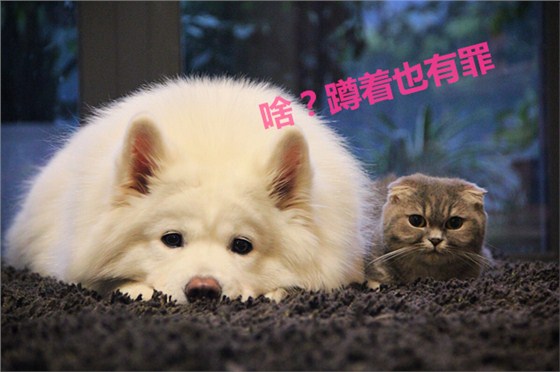 時(shí)尚辦公家具