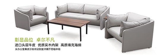 皮質(zhì)辦公椅,皮質(zhì)辦公椅,皮質(zhì)休閑椅