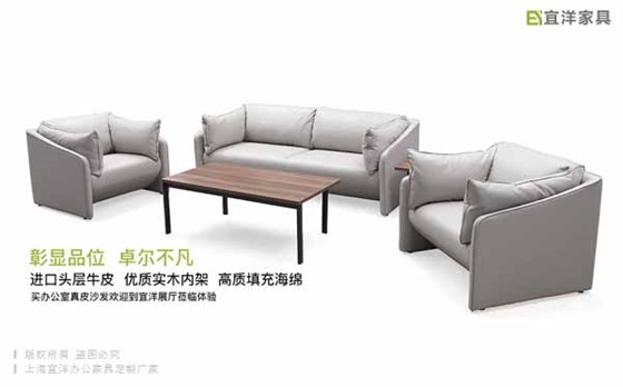 真皮沙發(fā),個(gè)性定制牛皮沙發(fā)