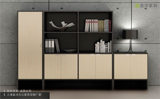 辦公文件柜,定制商務文件柜,文件柜廠家直銷