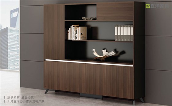 辦公文件柜,定制商務文件柜,文件柜廠家直銷