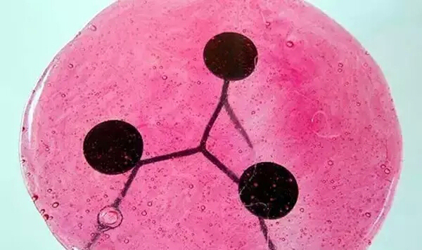 創(chuàng)意辦公家具