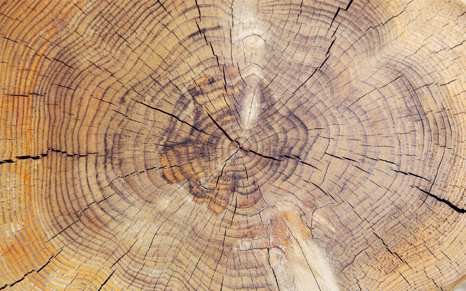 上海辦公家具定制