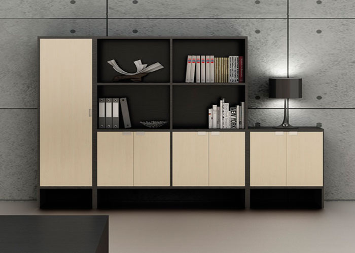 實木辦公文件柜,成都文件柜,文件柜廠家,保密文件柜