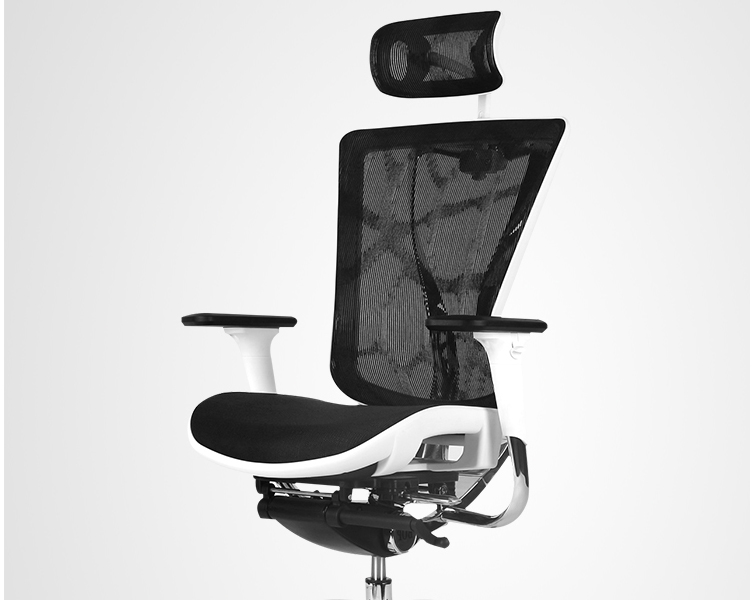 辦公椅,職員椅,電競(jìng)椅,人體工學(xué)椅,人體工學(xué)電腦椅