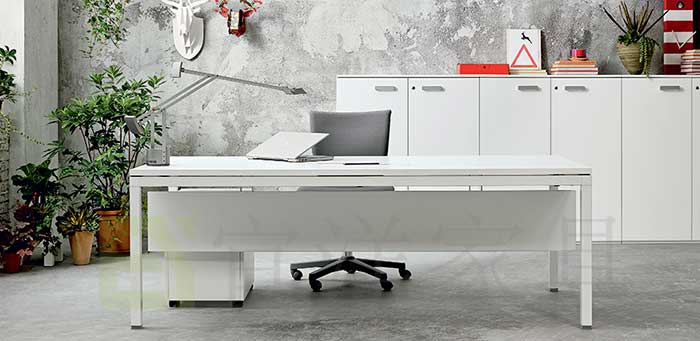 辦公室風水植物