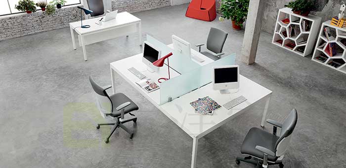 辦公室風水植物