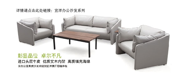 宜洋辦公沙發(fā)系列.jpg