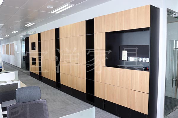 文件柜,辦公資料柜,辦公柜 文件柜,辦公資料柜,辦公柜