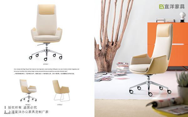 靠背椅,休閑辦公椅,廈門辦公家具